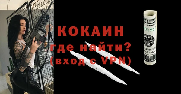 дживик Богородицк