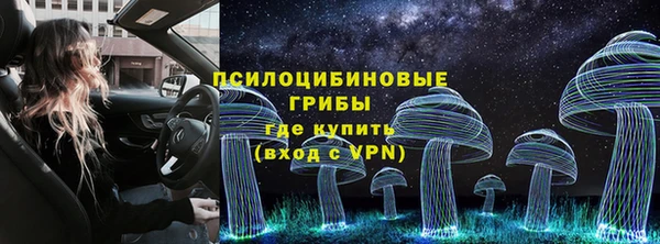 а пвп мука Богданович