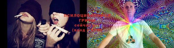 MDMA Premium VHQ Беломорск